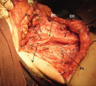 Fig. 8.37