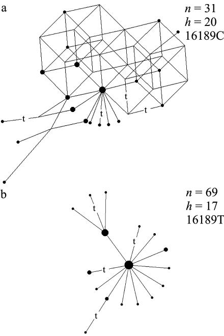 Figure  2