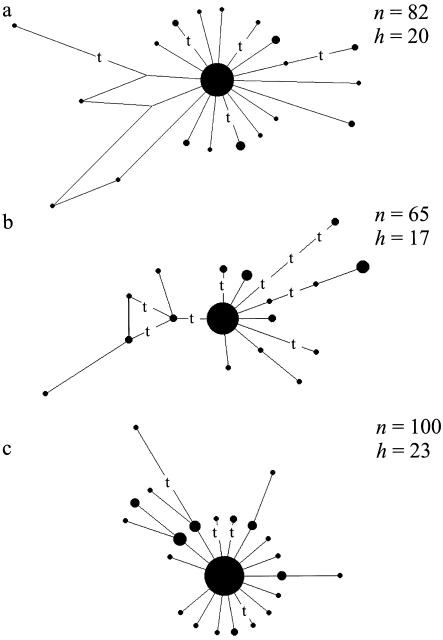 Figure  1