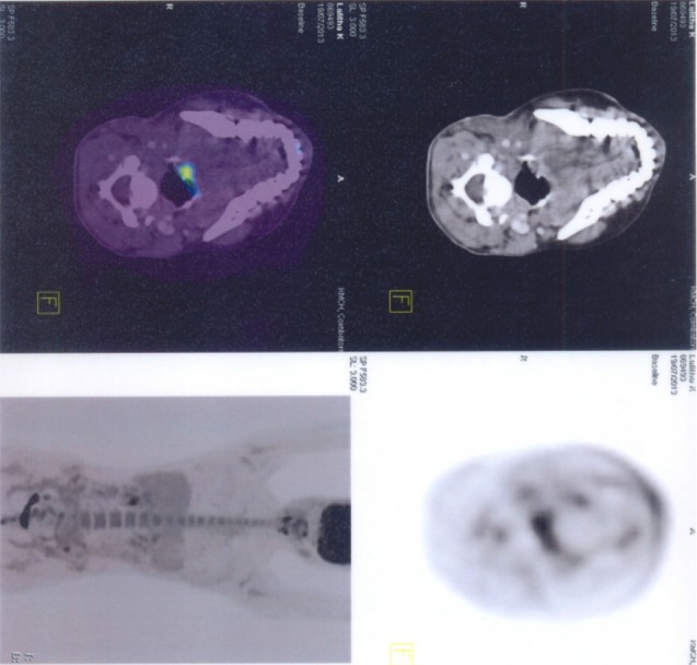 Fig. 6