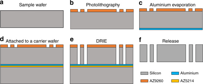 Fig. 7