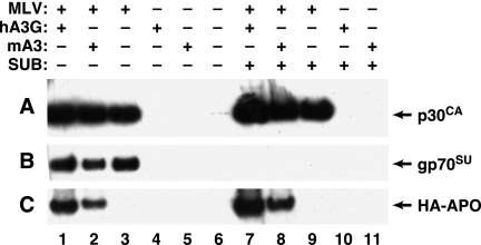 FIG. 6.