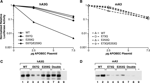 FIG. 9.