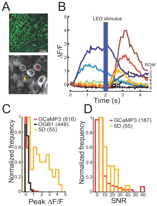 Figure 4