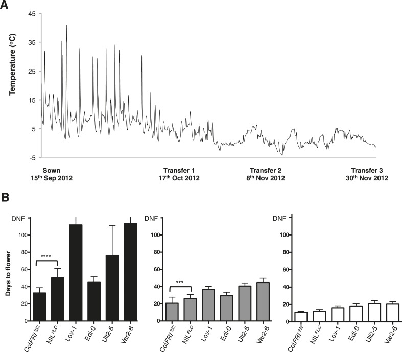 Figure 3—figure supplement 5.