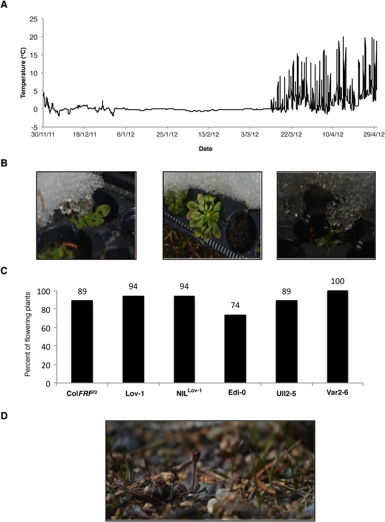 Figure 3—figure supplement 6.