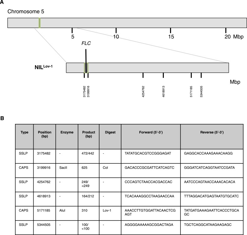 Figure 3—figure supplement 7.