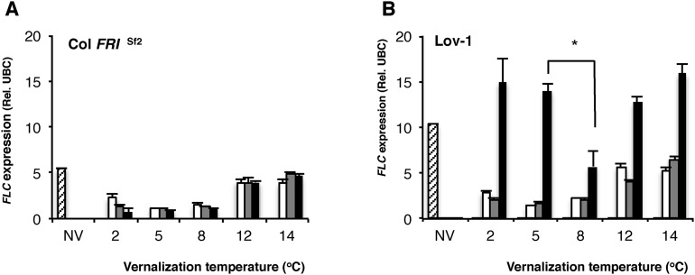 Figure 2—figure supplement 1.