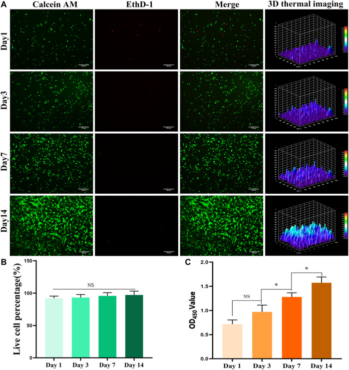 FIGURE 3