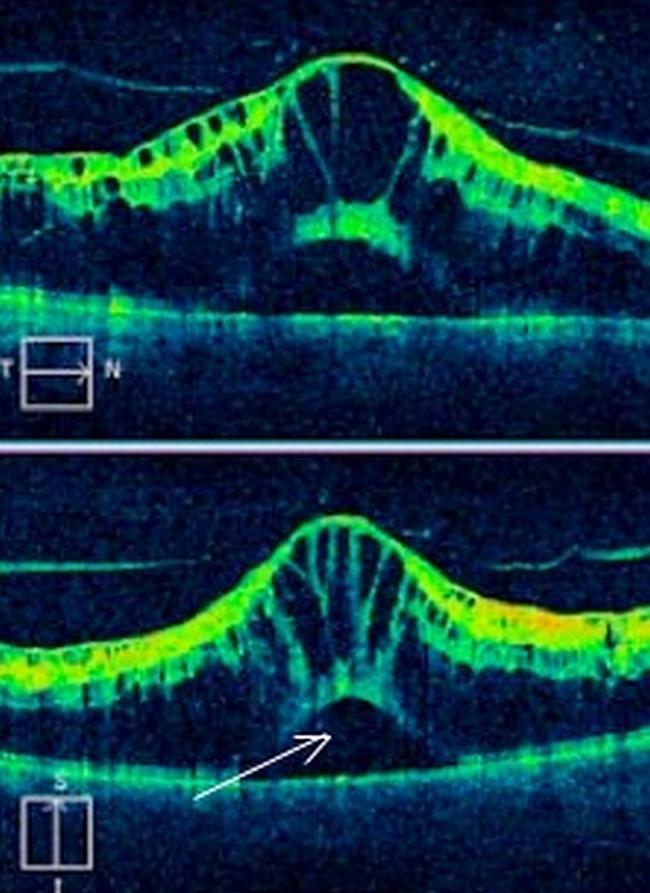 Figure 2