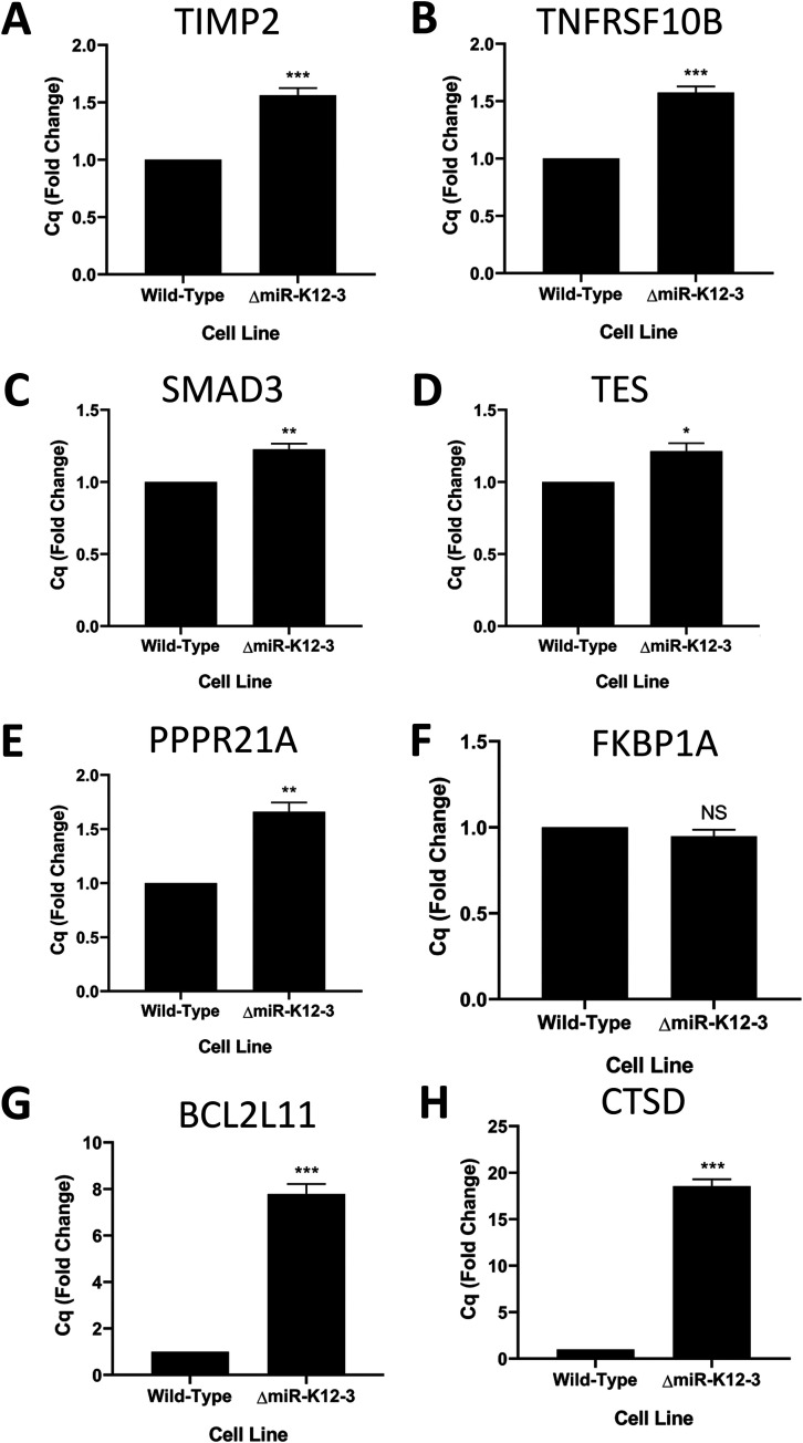 FIG 6