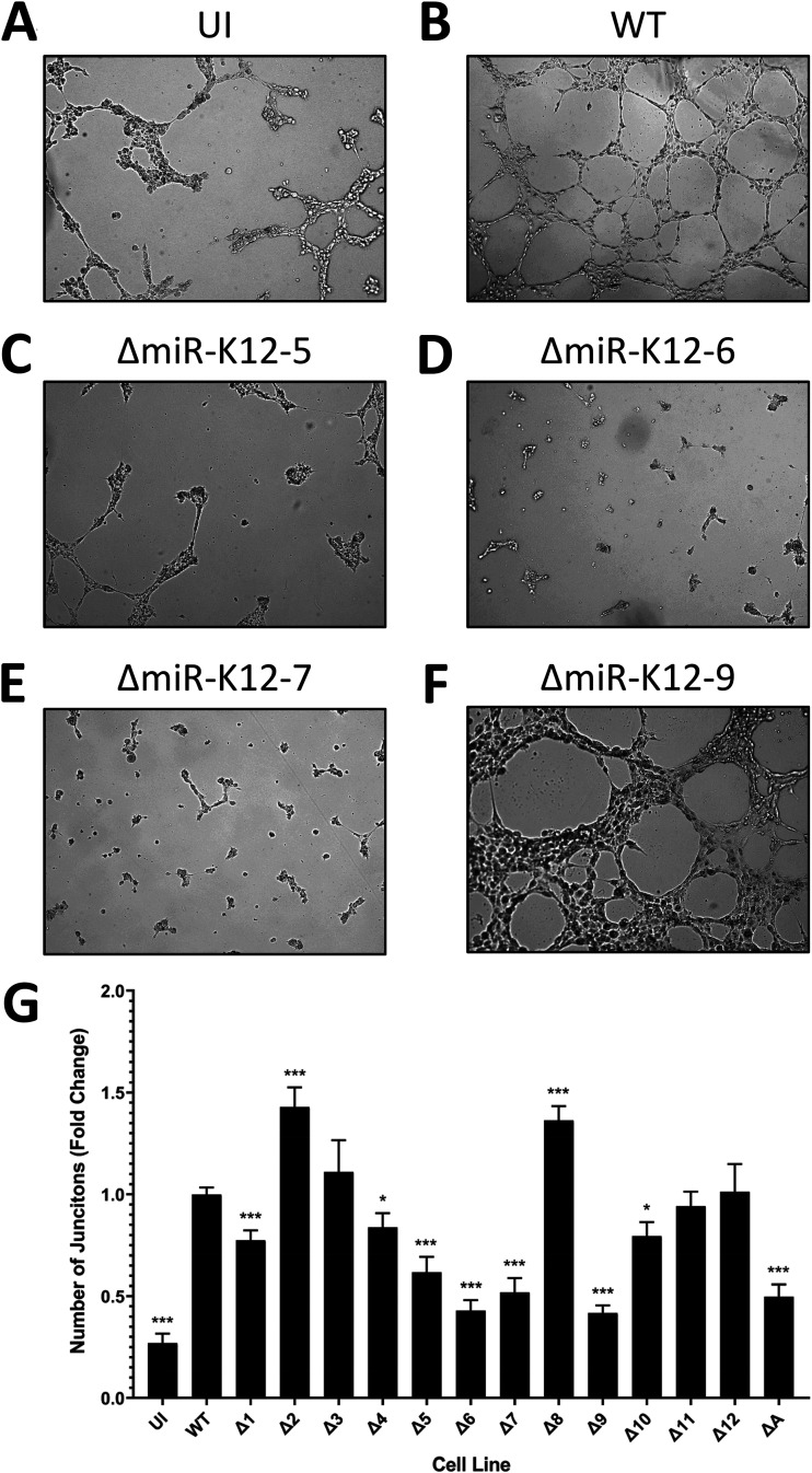 FIG 4