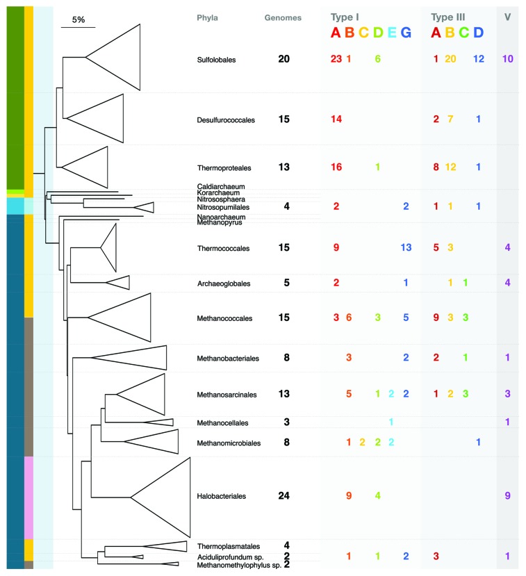 graphic file with name rna-11-156-g1.jpg