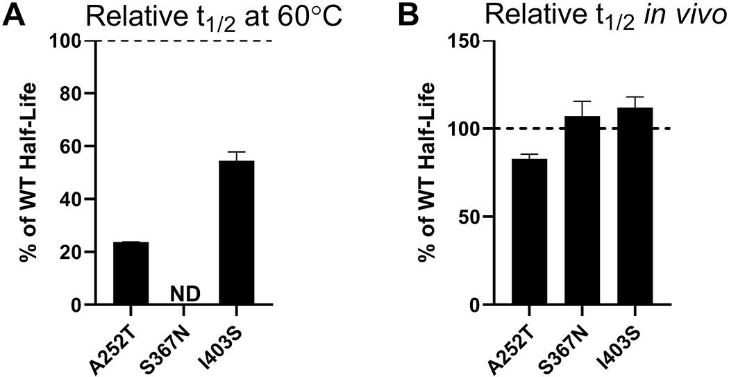 Figure 7.