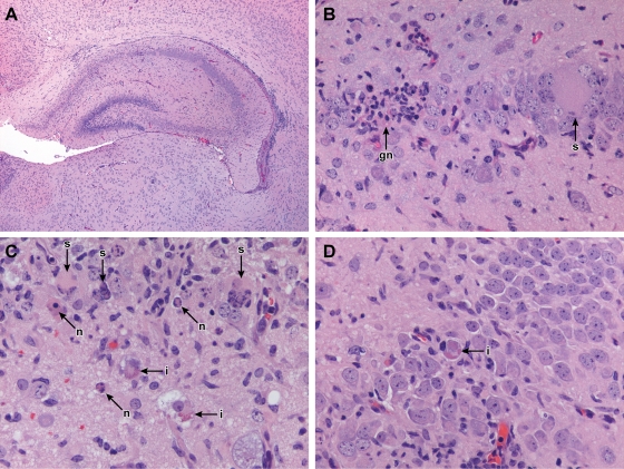 FIG. 7.