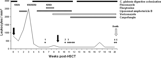 FIG. 1.