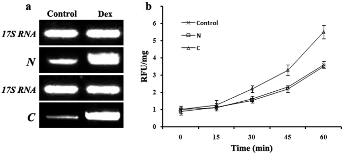 Figure 6