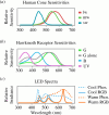 Spectral sensitivity of (a) cones in humans [33,34], with long- (lw), middle- (mw), and short-wavelength-sensitive cones (sw), referred to based on the peak sensitivity, presented