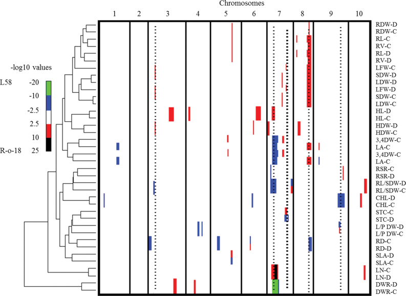 Fig. 2.