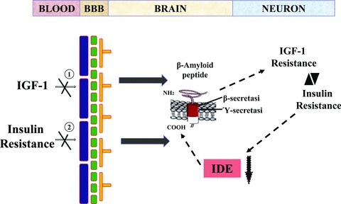 Fig 3