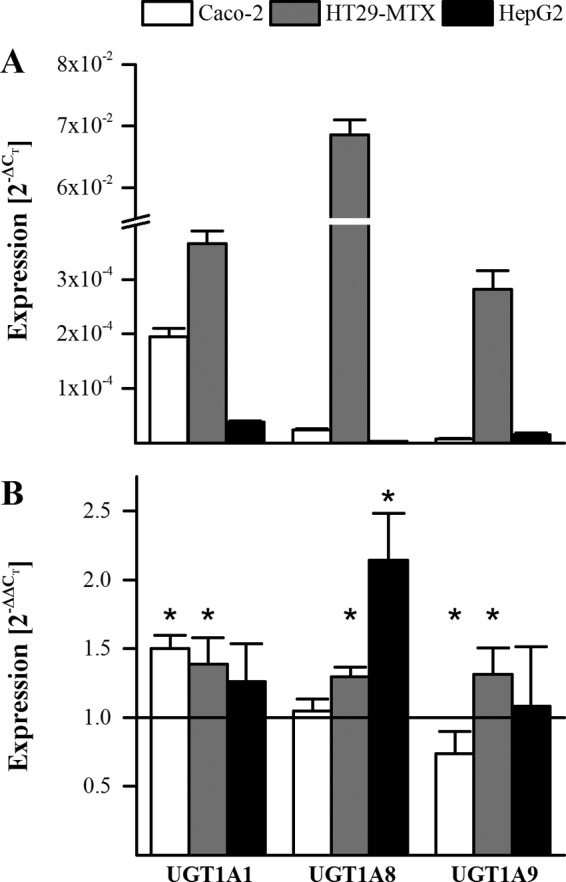 FIGURE 5.