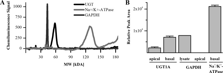 FIGURE 9.