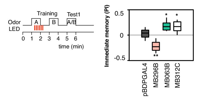 Figure 2—figure supplement 2.