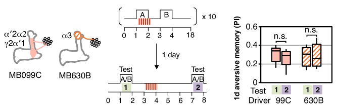 Figure 3—figure supplement 1.