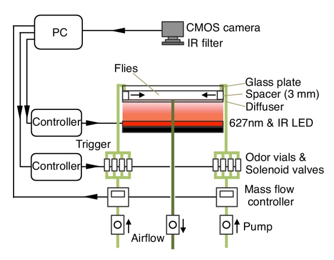 Figure 1—figure supplement 1.