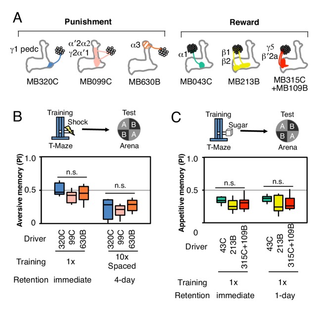 Figure 2—figure supplement 3.