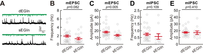 Figure 3—figure supplement 1.