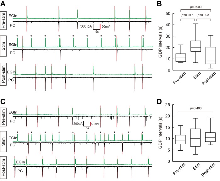 Figure 5—figure supplement 1.