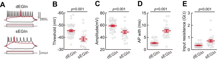 Figure 2—figure supplement 1.