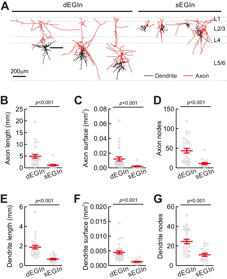 Figure 2—figure supplement 2.