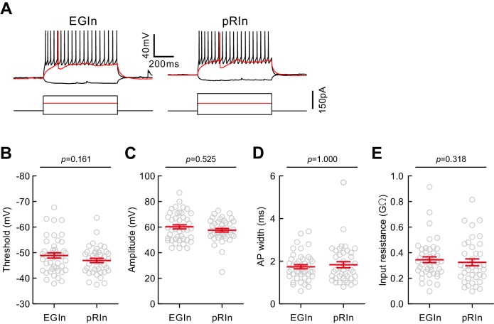 Figure 2—figure supplement 3.