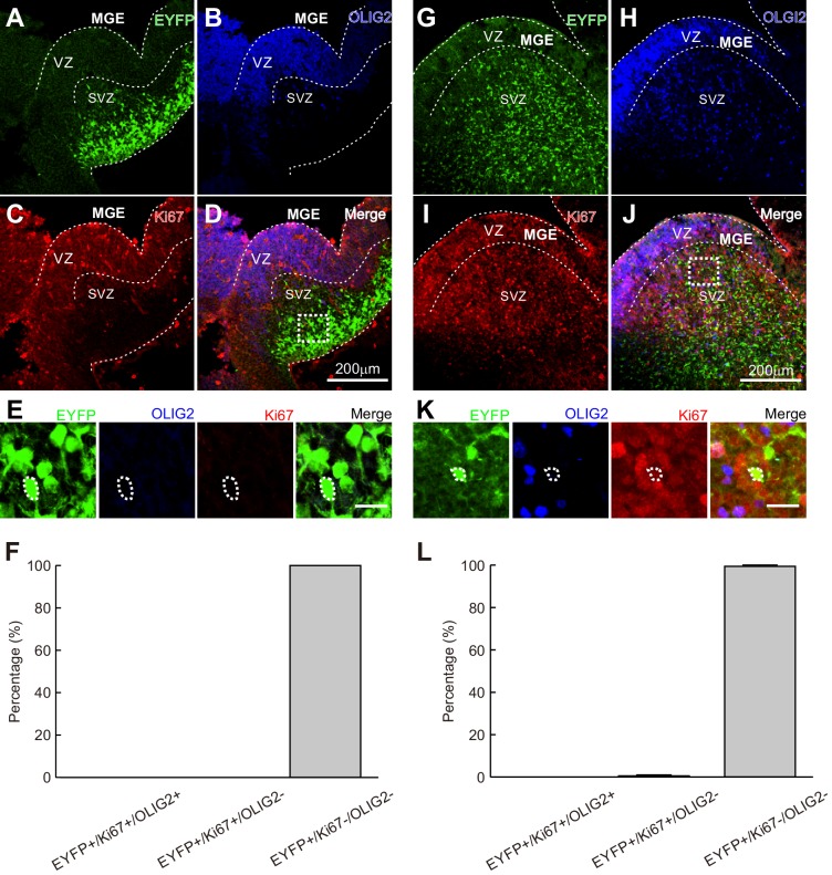 Figure 1—figure supplement 2.