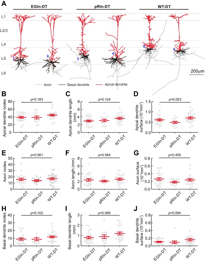 Figure 6—figure supplement 3.