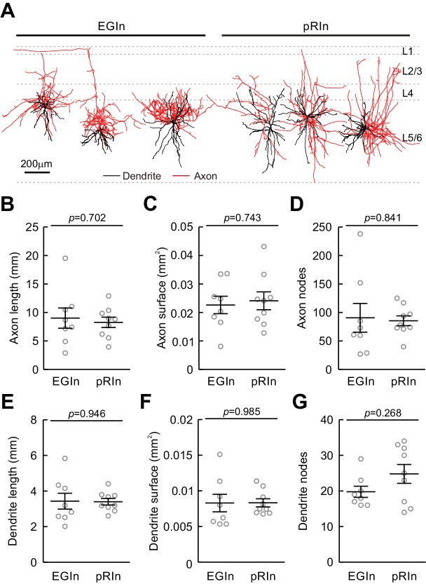 Figure 2—figure supplement 4.