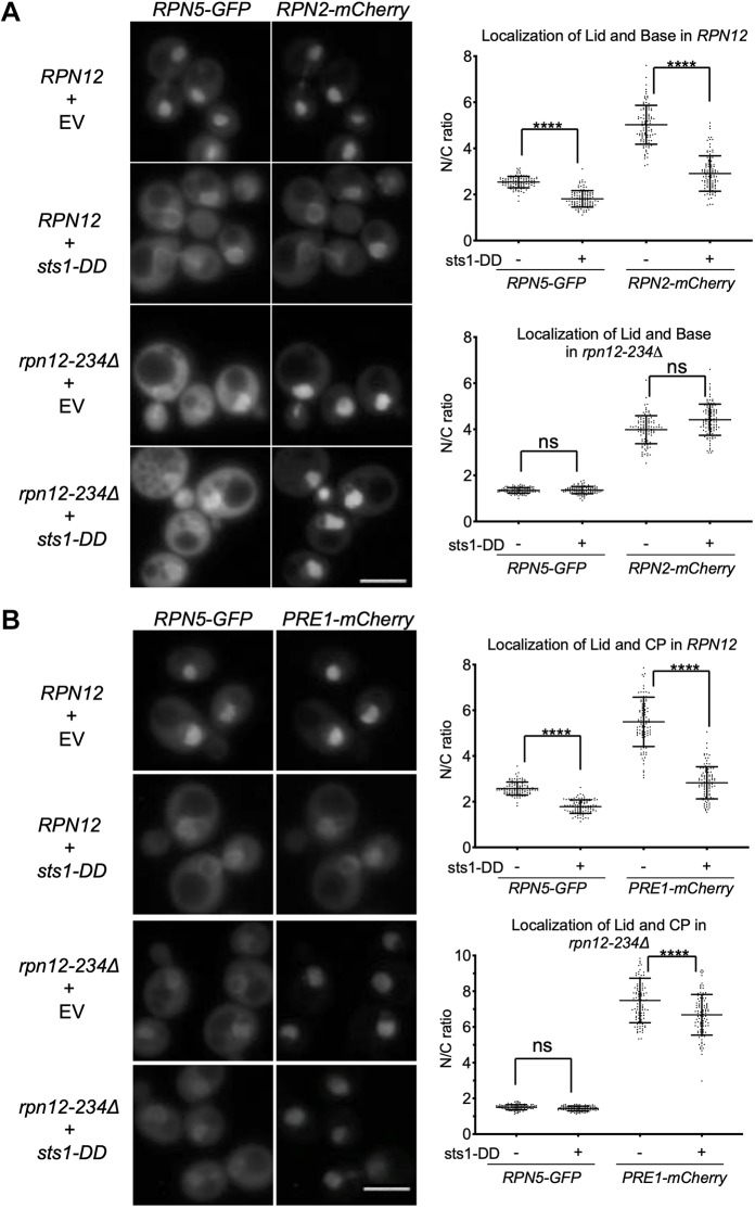 Fig. 7.