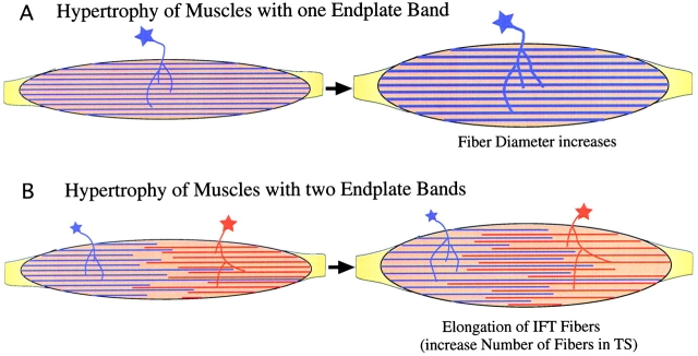 Figure 10.