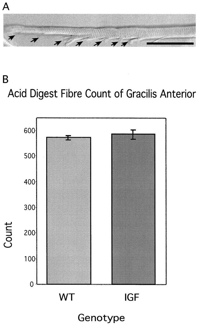 Figure 9.