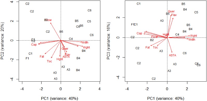 Fig 7