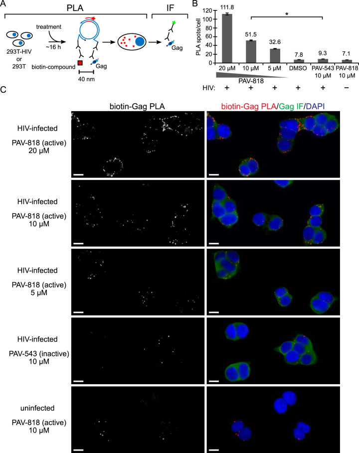 FIG 6