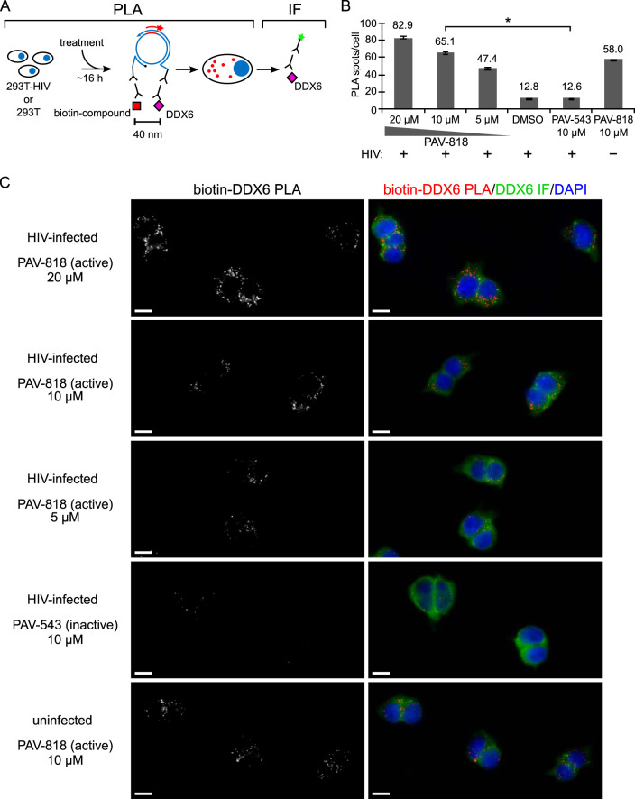 FIG 11