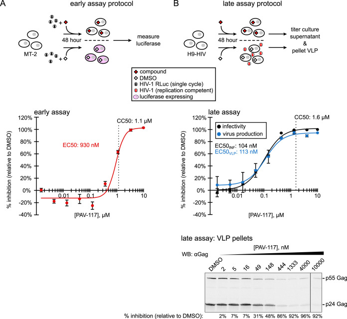 FIG 3