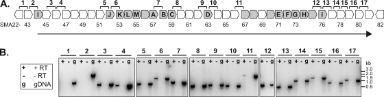 Fig. 6.