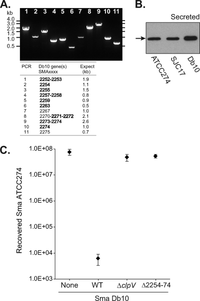 Fig. 5.