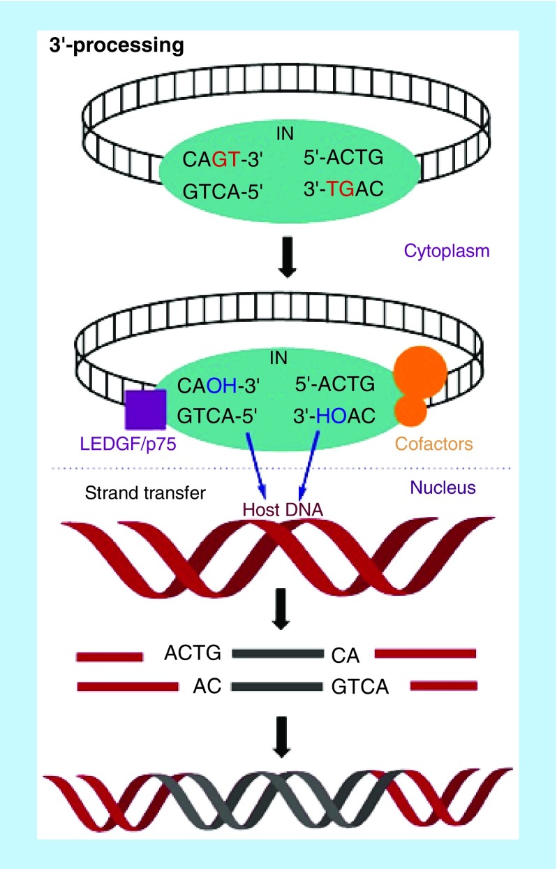 Figure 2. 