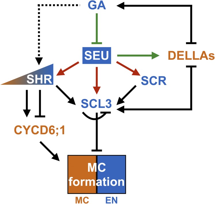 Figure 5.