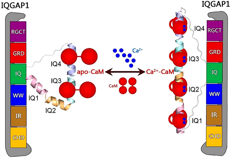 Figure 5.